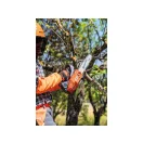 Oleo-Mac GSTH 240 egykezes láncfűrész, benzinmotoros   3/8" (003-50359001E5)