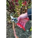 Felco 11 Metszőolló jobb kezes nagy méret (020-Felco 11)