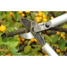 Felco 231 Áttételes rávágó ágvágó olló (020-Felco 231)