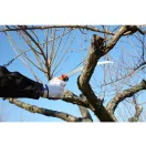 Silky Tsurugi Curve 330-7,5 Kézi fűrész (KSI345433)