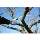 Silky Tsurugi Curve 330-10 Ívelt fűrész (KSI345633)