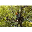 Silky Sugoi 330-6.5-5.5 Metszőfűrész (020-KSI639033)