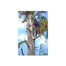 Silky Sugowaza 420-6.5-5.5 Metszőfűrész (020-KSI641942)