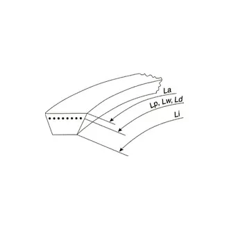   SWR hatszög ékszíj BBx210 Li, 5403 Lw, 5334 Li Double V-Belts (07.000.313)
