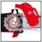 Einhell GE-LC 18 LI T - Solo akkus magassági ágvágó (3410810)