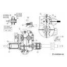MTD kúpos fogaskerék 55 fogú (717-05425)