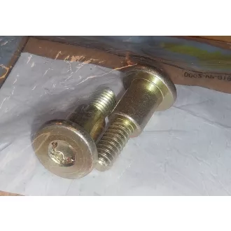 MTD csapos csavar (738-05145)