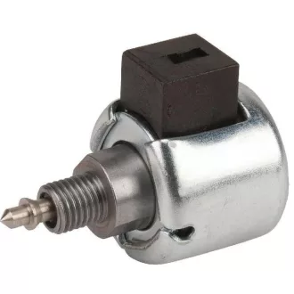 Karburátor tűszelep Briggs elektromos (846639)