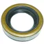 Szimering Briggs 4HP, alsó, 22.2x34.9x7mm, 291841, 391483 (US-161-053)