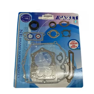 Tömítés készlet Briggs Quantum, 120H02