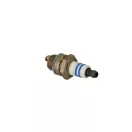 Bosch gyújtógyertya WSR6F 1 db megfelel rcj7y (WSR6F/10CS)